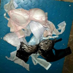 Bra2
